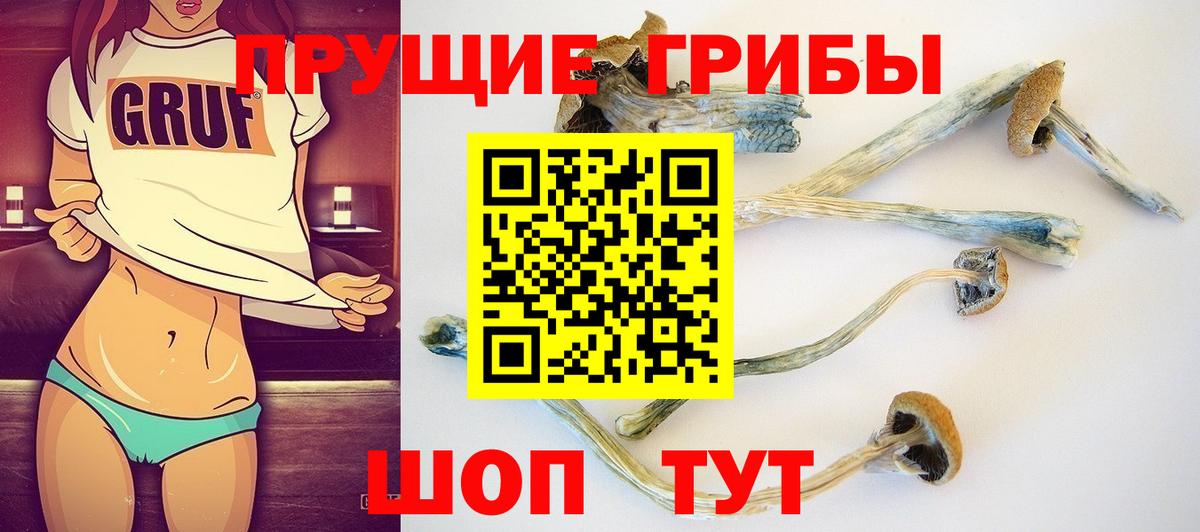 Семёнов  Псилоцибиновые грибы прущие грибы  Вход с VPN  Псилоцибиновые грибы Psilocybe 