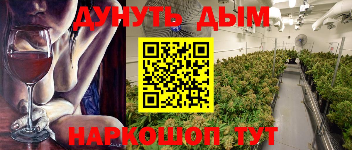 Конопля сатива Семёнов